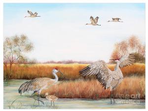 Artist Jean Plout Debuts Her New Sandhill Crane Painting